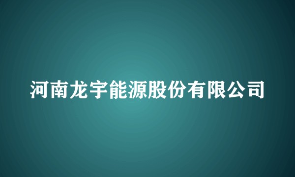 河南龙宇能源股份有限公司
