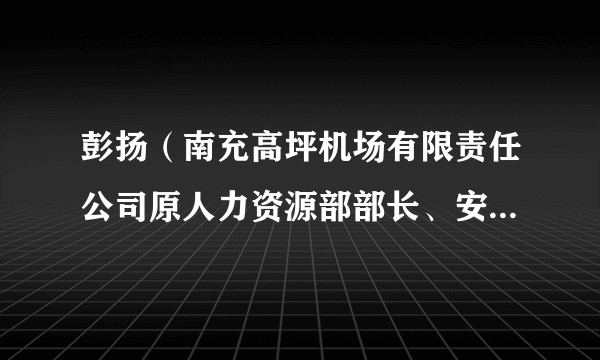 彭扬（南充高坪机场有限责任公司原人力资源部部长、安全检查站站长）