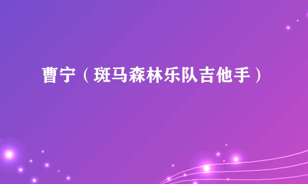 曹宁（斑马森林乐队吉他手）