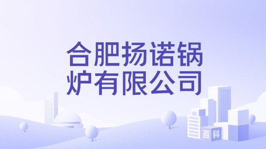 合肥扬诺锅炉有限公司