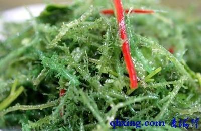 鹿角菜蛤蚧水鱼汤