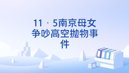 11·5南京母女争吵高空抛物事件
