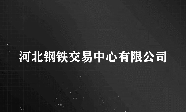 河北钢铁交易中心有限公司