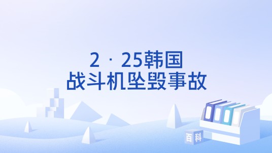2·25韩国战斗机坠毁事故