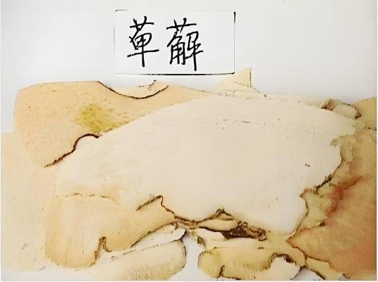 萆薢