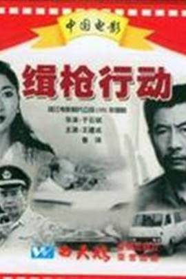 缉枪行动