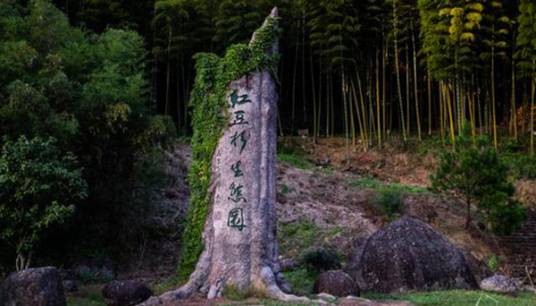 红豆杉生态园