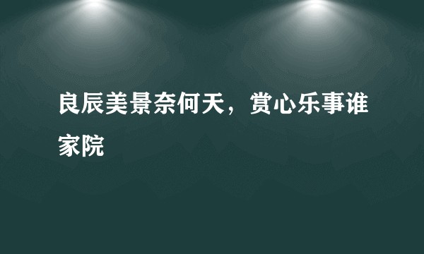 良辰美景奈何天，赏心乐事谁家院