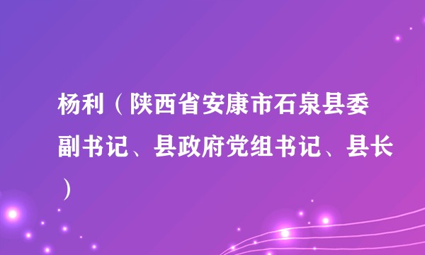 杨利（陕西省安康市石泉县委副书记、县政府党组书记、县长）