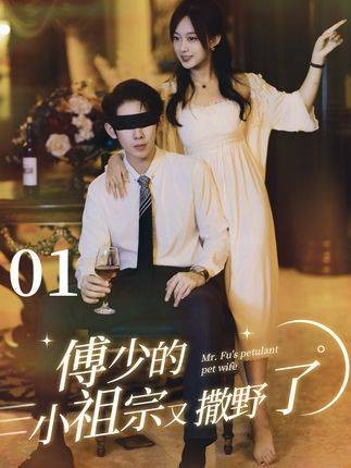 傅少的小祖宗又撒野了