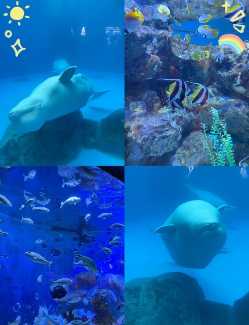 成都海洋世界