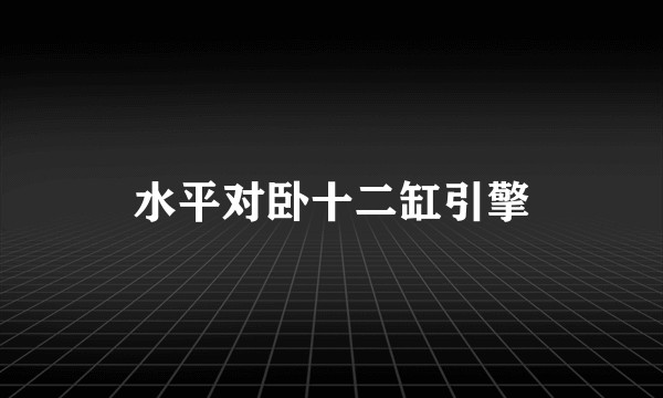 水平对卧十二缸引擎
