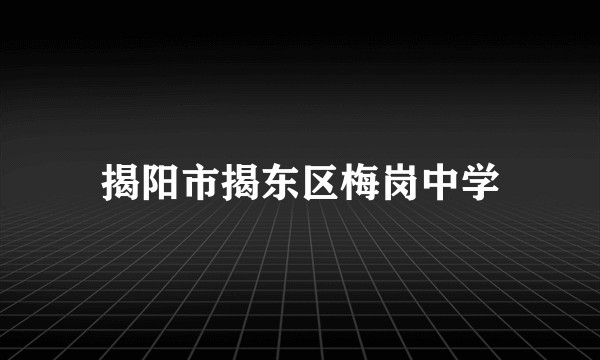 揭阳市揭东区梅岗中学