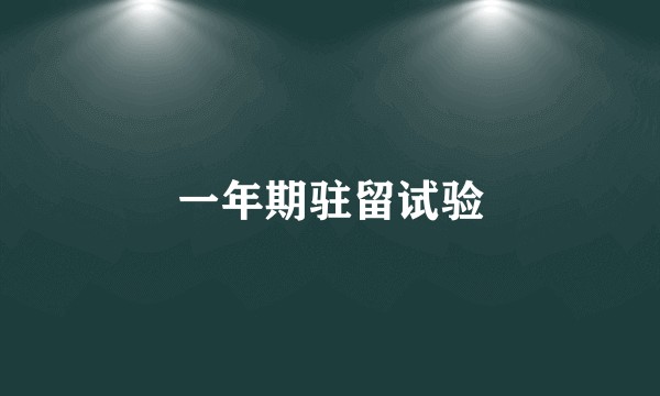 一年期驻留试验