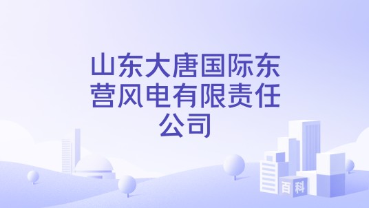 山东大唐国际东营风电有限责任公司