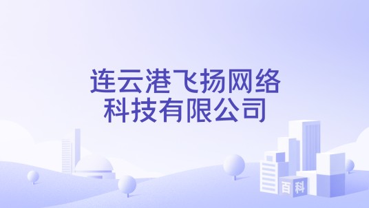连云港飞扬网络科技有限公司