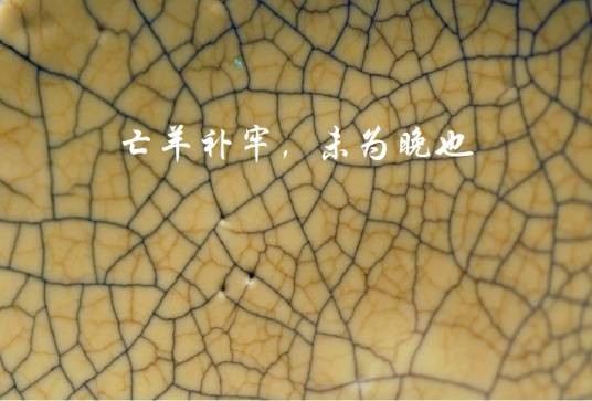 亡羊补牢，未为晚也