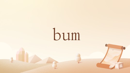 bum（英语单词）