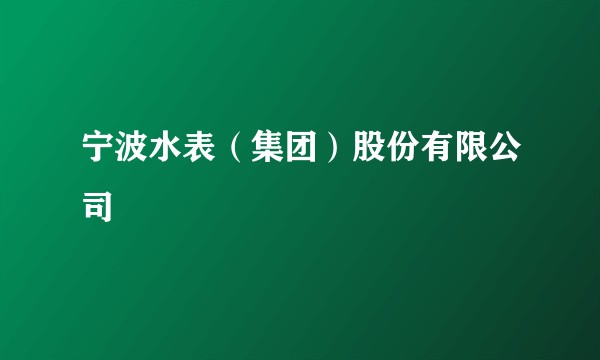 宁波水表（集团）股份有限公司