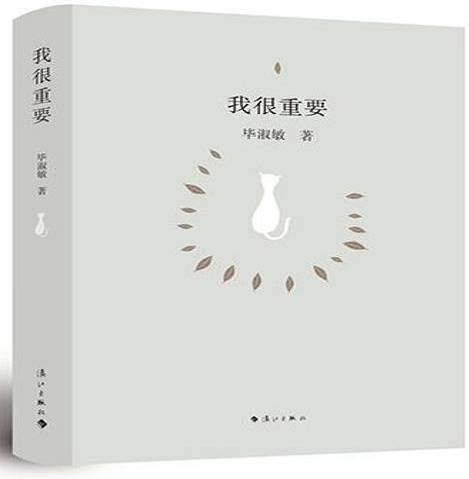 我很重要（2012年漓江出版社出版的图书）