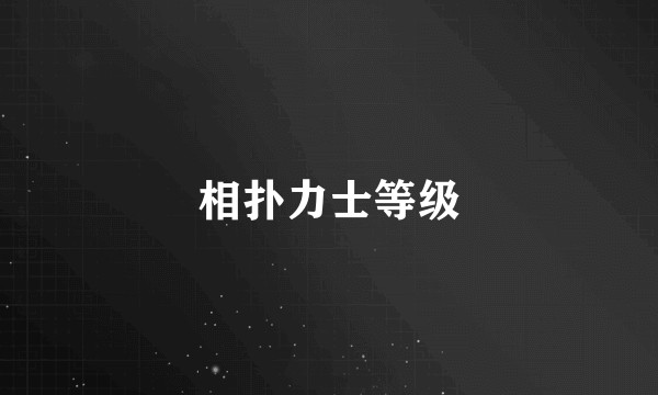 相扑力士等级