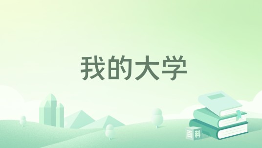 我的大学（2016年天地出版社出版的图书）