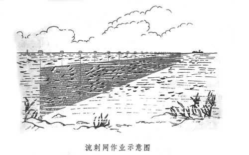 刺网捕捞