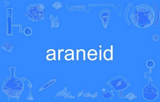 araneid