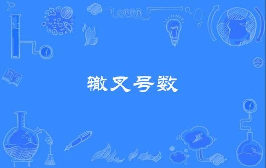 辙叉号数