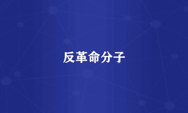 反革命分子