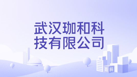 武汉珈和科技有限公司