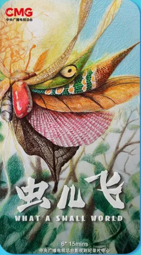 虫儿飞(中央广播电视总台影视剧纪录片中心制作的纪录片)