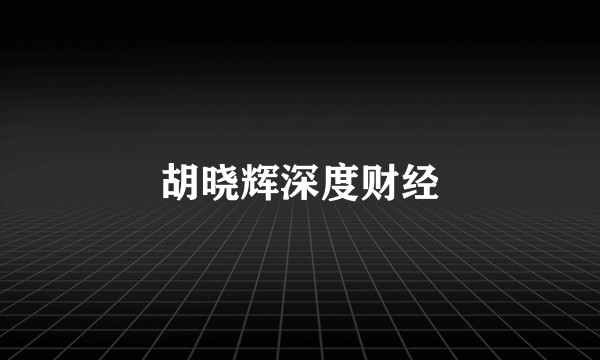 胡晓辉深度财经