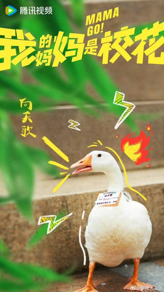 向天歌（《我的妈妈是校花》跨界主演）