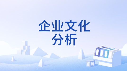 企业文化分析