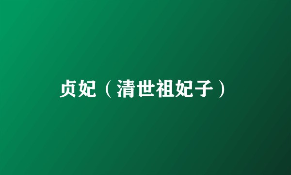 贞妃（清世祖妃子）