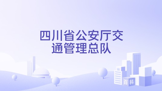 四川省公安厅交通管理总队