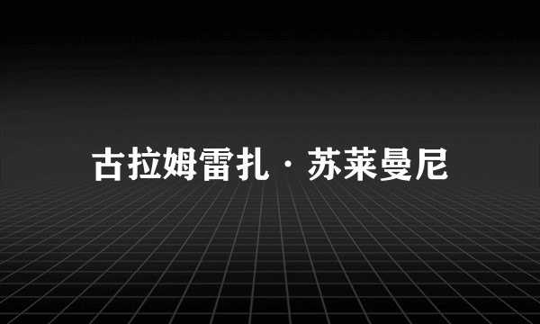 古拉姆雷扎·苏莱曼尼