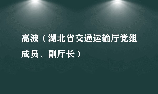高波（湖北省交通运输厅党组成员、副厅长）