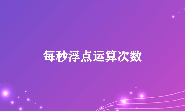每秒浮点运算次数