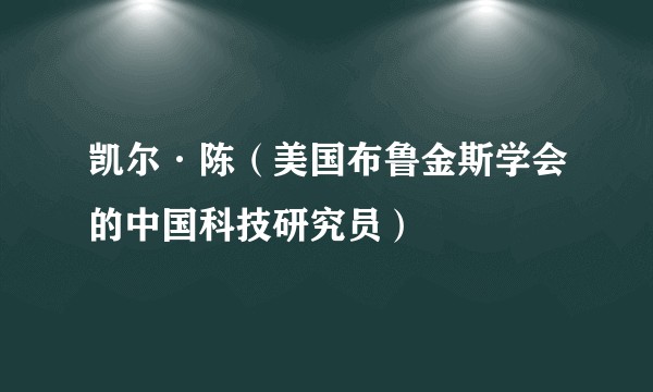 凯尔·陈(美国布鲁金斯学会的中国科技研究员)
