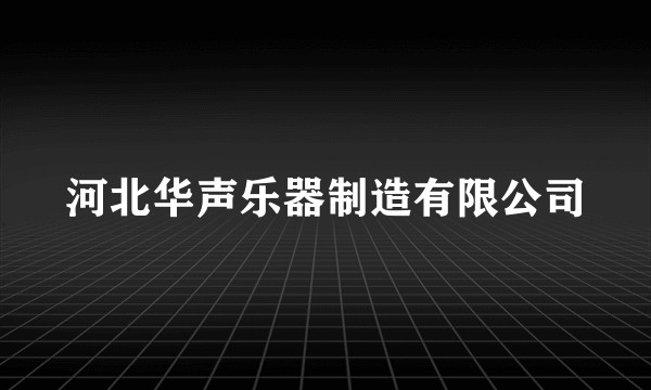 河北华声乐器制造有限公司