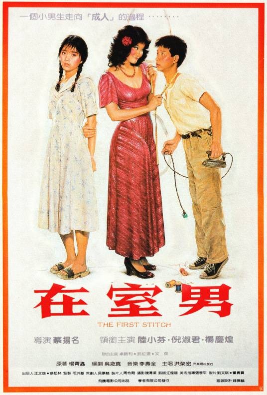在室男（1984年蔡扬名执导的电影）