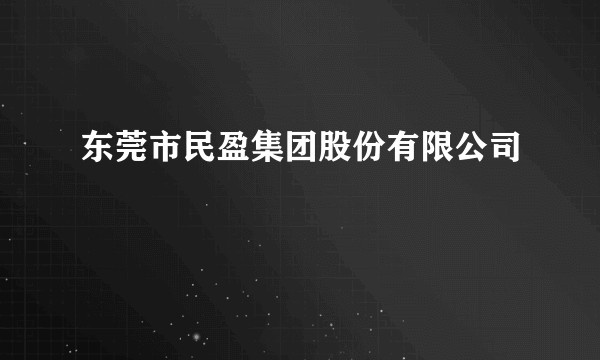 东莞市民盈集团股份有限公司