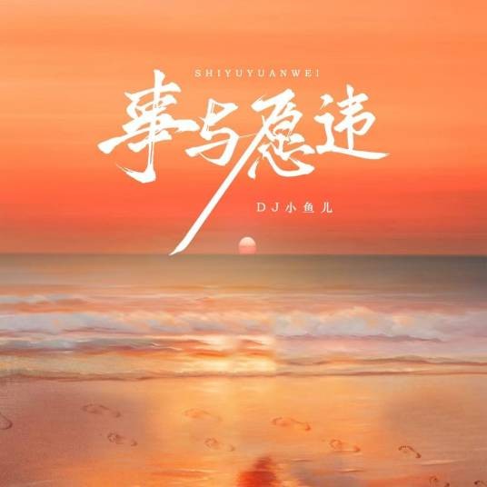 事与愿违（DJ小鱼儿演唱歌曲）