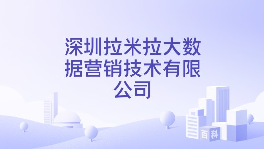 深圳拉米拉大数据营销技术有限公司