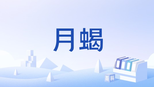 月蝎