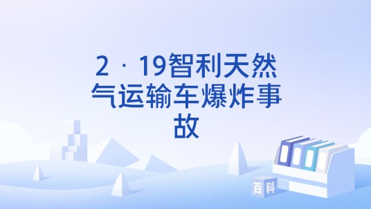 2·19智利天然气运输车爆炸事故