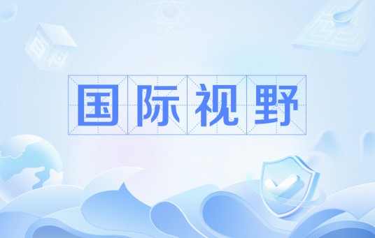 国际视野（经济学术术语中的国际视角或眼光）