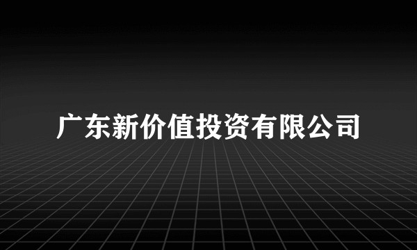 广东新价值投资有限公司